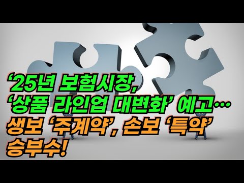 25년 보험시장, ‘상품 라인업 대변화’ 예고… 생보는 ‘주계약’, 손보는 ‘특약’으로 승부수