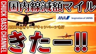 ANA国内線減額マイルキャンペーンきたー❗️❗️ANAPayチャージするだけでマイルもらえる❗️❓