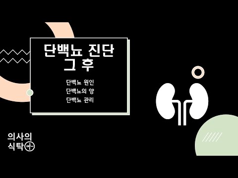 단백뇨 (2) 단백뇨 진단 그후 : 단백뇨 원인 : 단백뇨 관리 : 단백뇨 치료