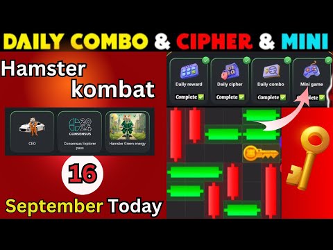 Hamster Kombat mini game 16 September / cipher codes today / Puzzle game Solved / mini game Today