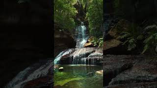 Relaxing Zen Music with Nature Sounds for Meditation, Spa, Sleep & Relaxation