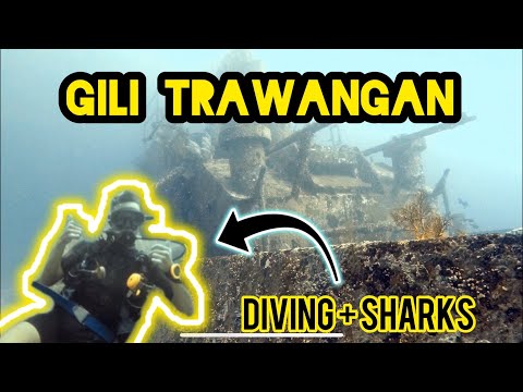 I Went Diving With Sharks | Day in the Life | Gili Trawangan