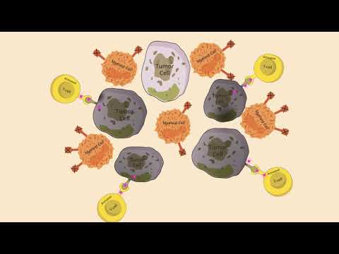 ACEA Transformative Video03: xCELLigence - A Transformative Technologies in Cancer Research