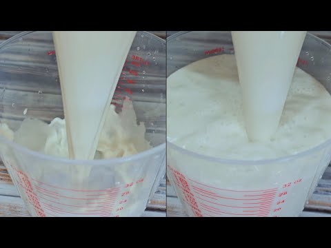 How to Make Coconut Milk From Scratch