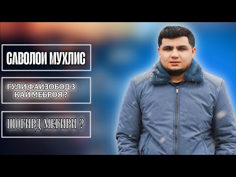 САВОЛОИ МУХЛИС ( ГУЛИ ФАЙЗОБОД 3 КАЙ МЕБРОЯ ? )