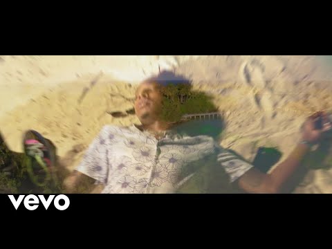 Trap Beckham - Monkey (Official Video)