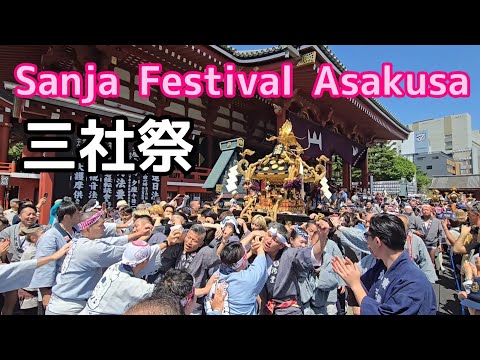 Sanja Festival Asakusa Tokyo 　浅草   三社祭