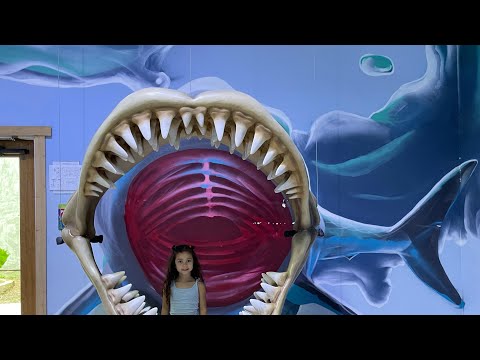 Houston Interactive Aquarium & Animal Reserve