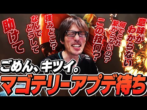 「俺の実力では強みを引き出せない」テリーと共にプロシーンを走りたかった男の嘆き【ストリートファイター6｜マゴ】