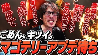 「俺の実力では強みを引き出せない」テリーと共にプロシーンを走りたかった男の嘆き【ストリートファイター6｜マゴ】