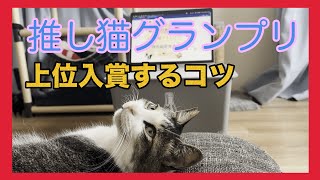 推し猫グランプリ結果発表