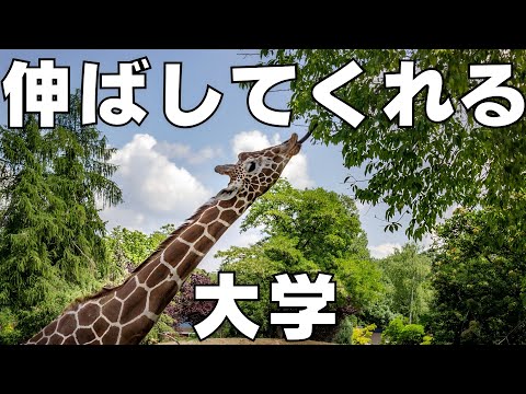 【出来損ないはここに行け！】入ってから伸ばしてくれる大学ランキングTOP10