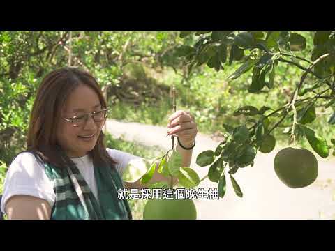 ［走讀台灣：茶香傳承之路與柚柑茶］MinasTea