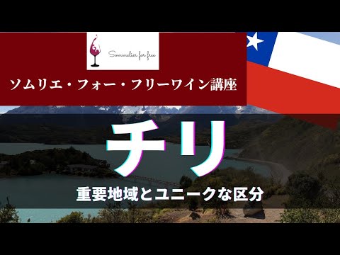 チリ編 【2023年 Sommelier for free ワイン講座】