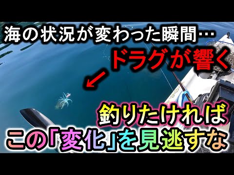 遊漁船も近づかない岩礁地帯…ここは初心者でもドラグが鳴りまくる最高の釣り場でした