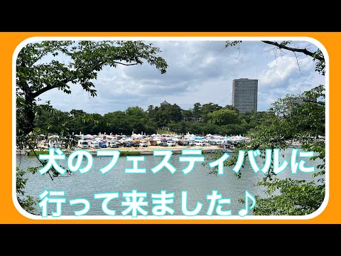 【犬市場】岡崎市で５月下旬に行われた犬市場に行って来ました♪犬の好きな人が、いっぱいいました☺️