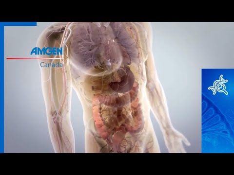 Amgen Science : la biotechnologie pour la prochaine décennie