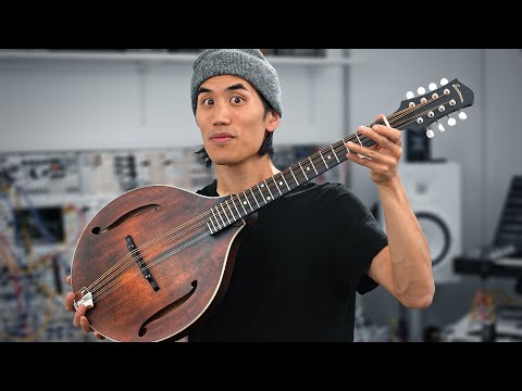 Octave mandolin should be way more popular