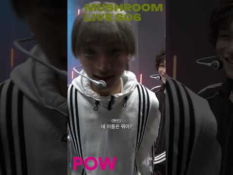 버섯 POW 모음 = 맑눈광 버섯 + 진정제 버섯+라이스 페이퍼 버섯...🍄 #POW