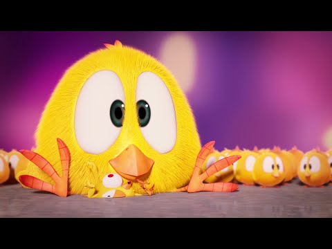 The world of Chicky | Where's Chicky? | Cartoon Collection in English for Kids | New episodes HD