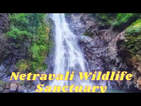 Places to visit in South Goa | Netravali Wildlife Sanctuary |  Goa Vlog | Places To Visit In Goa