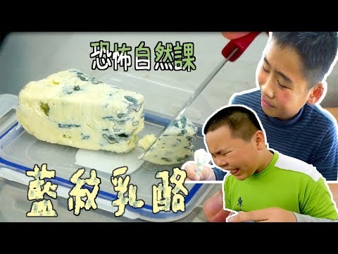 【ChienHao老師上課】恐怖自然課-藍紋乳酪初體驗