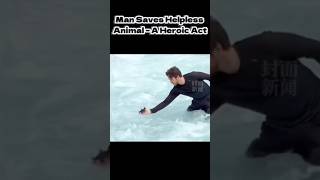 Man Saves Helpless Animal – A Heroic Act #HeroicAct #AnimalRescue #BraveMoment #KindnessMatters