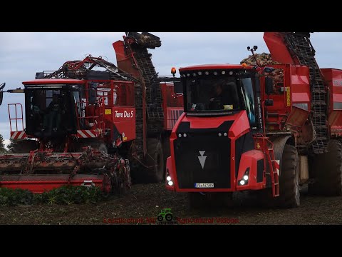 100% Holmer / Rübenernte - Harvesting Beets  2023   pt1