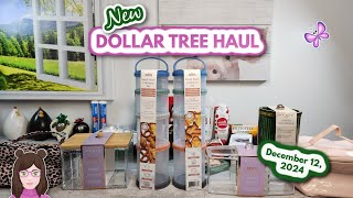 AWESOME DOLLAR TREE HAUL!  Exciting New Finds!! December 12, 2024