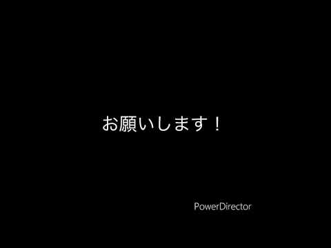 【菊花賞】反省動画