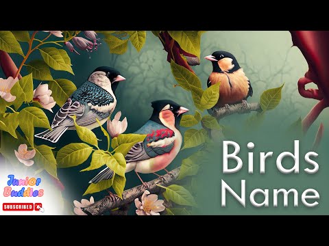 Birds Name | Educational Video for Kids | Let's Learn Names of Birds with real images |  For Kids