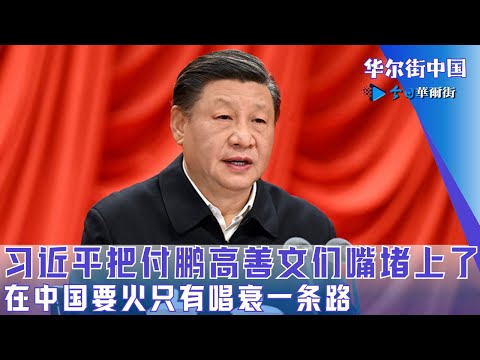 习近平把付鹏高善文们嘴堵上了；在中国要火只有唱衰一条路｜华尔街中国