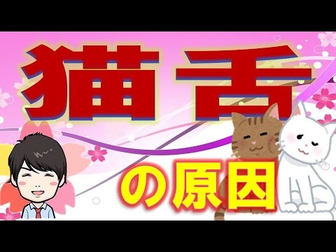 【3分】  猫舌の原因