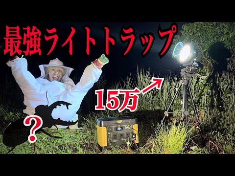 総額"15万円"の本気ライトトラップでクワガタ大量捕獲してみた！！！！