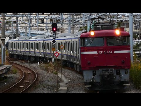 EF81-134号機+E235系ｸﾗJ-28編成 新津配給