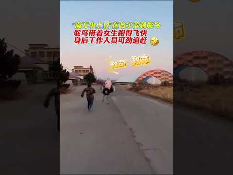 南方小土豆在哈尔滨#哈尔滨趣事#南方小土豆在东北