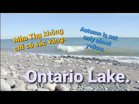 Ontario Lake in Morning of Autumn : Not only about yellow - Mùa Thu không chỉ có sắc vàng.