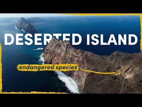 Why We Are Searching for Endangered Species on a Deserted Island | Expedition Vlog