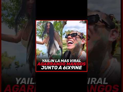 6IX9INE y YAILIN LA MAS VIRAL “EN LOS MANGOS”