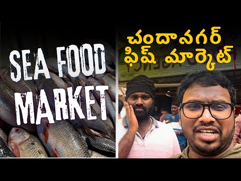 Chanda Nagar Fish Market Tour | Fresh Seafood Galore | VJVENKIVLOGS