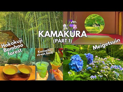 Kamakura Day trip | Matcha cafe in Hokoku-ji Bamboo Forest, Bloomed Hydrangeas at Meigetsu-in Temple