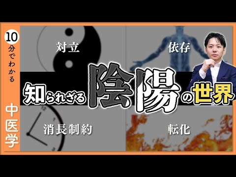 【陰陽】これを知らずに中医学は語れない｜陰陽太極図【9割が知らない中医学】