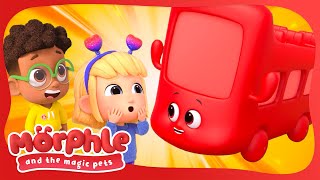 Morphle The Bus | Morphle and the Magic Pets | Best Animal Videos for Kids