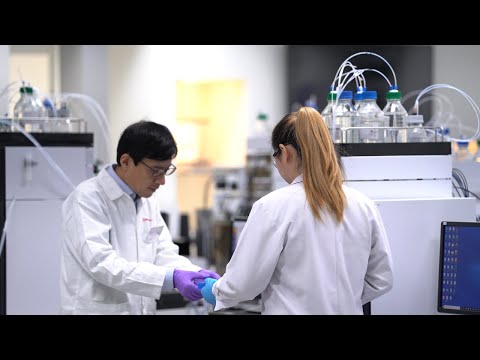 How to find molecular weight using Shimadzu Gel Permeation Chromatography GPC system