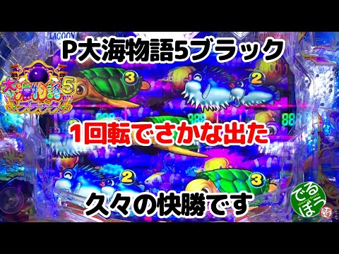 1月29日　パチンコ実践　P大海物語5ブラック　久々の快勝です