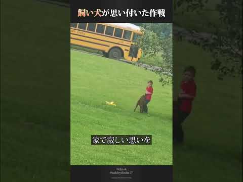 飼い犬に学校に行くのを妨害されてしまった少年