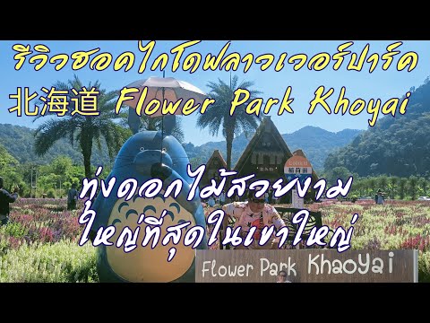 รีวิว@ฮอคไกโดฟลาวเวอร์ปาร์ค北海道 Flower Park Khoyai ทุ่งดอกไม้สวยงามใหญ่ที่สุดในเขาใหญ่