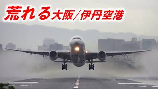 熱帯低気圧で荒れる大阪/伊丹空港で離着陸機を紹介！