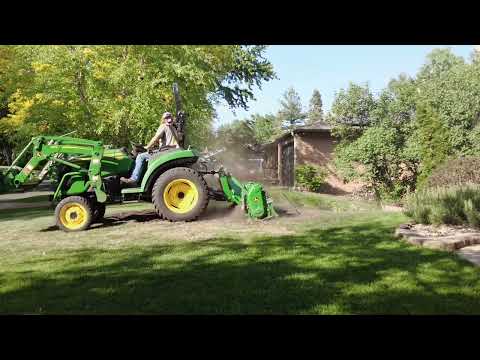 From Tree Stump to Lawn