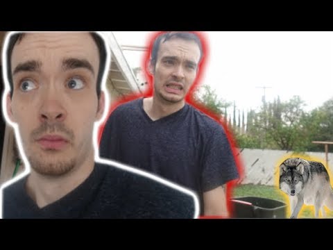 WAS THAT A WOLF?! (OMG!!)